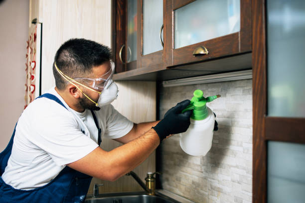 Flea Control Services in Cascade Locks, OR