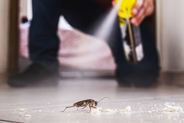 Best Pest Control for Homes  in Cascade Locks, OR