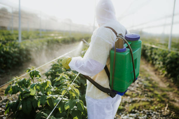 Best Wasp Removal Services  in Cascade Locks, OR